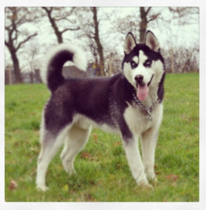 arne1year