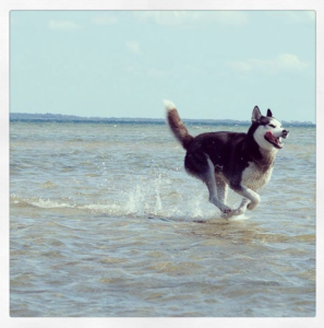 arnerunningonwater