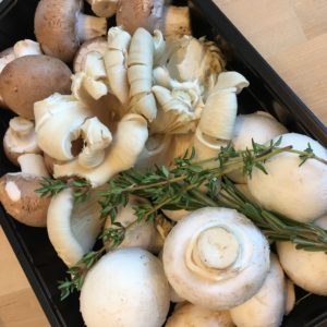 mushroomcloseup
