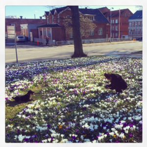 Kalender: April, Maj og Juni