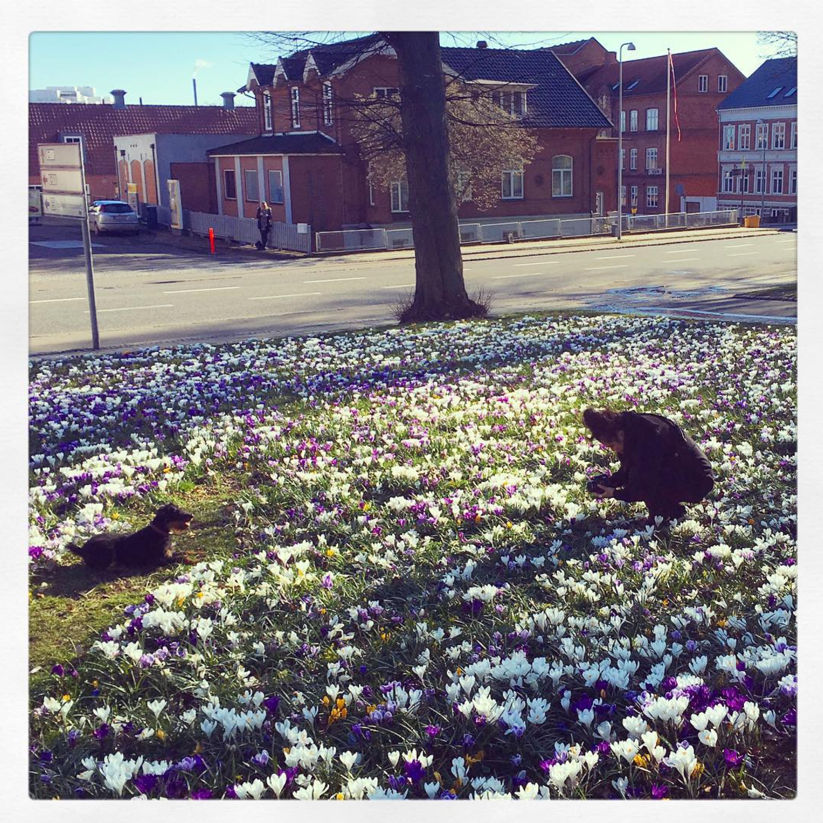 Kalender: April, Maj og Juni